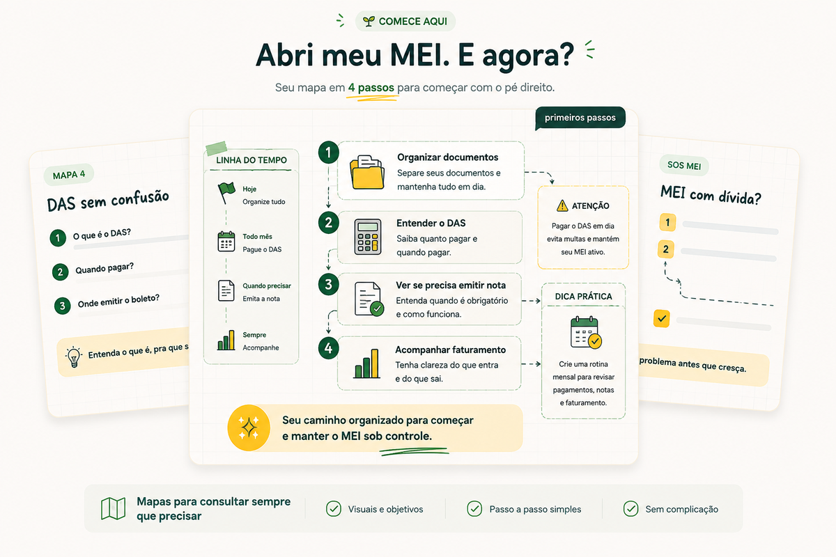 Prévia dos mapas visuais do MEI Fora da Caixa